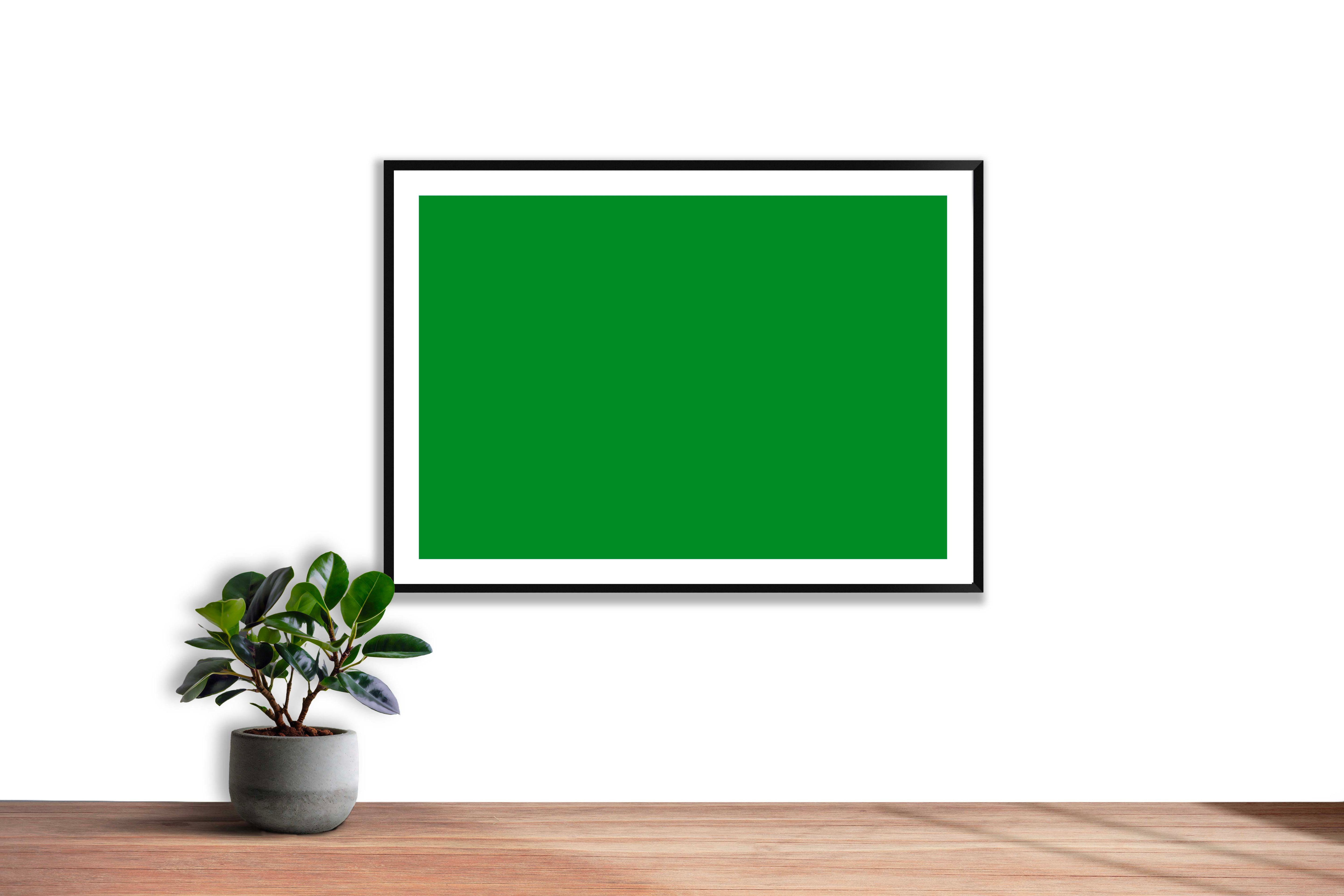 Vert de cadmium moyen (Gazon)
