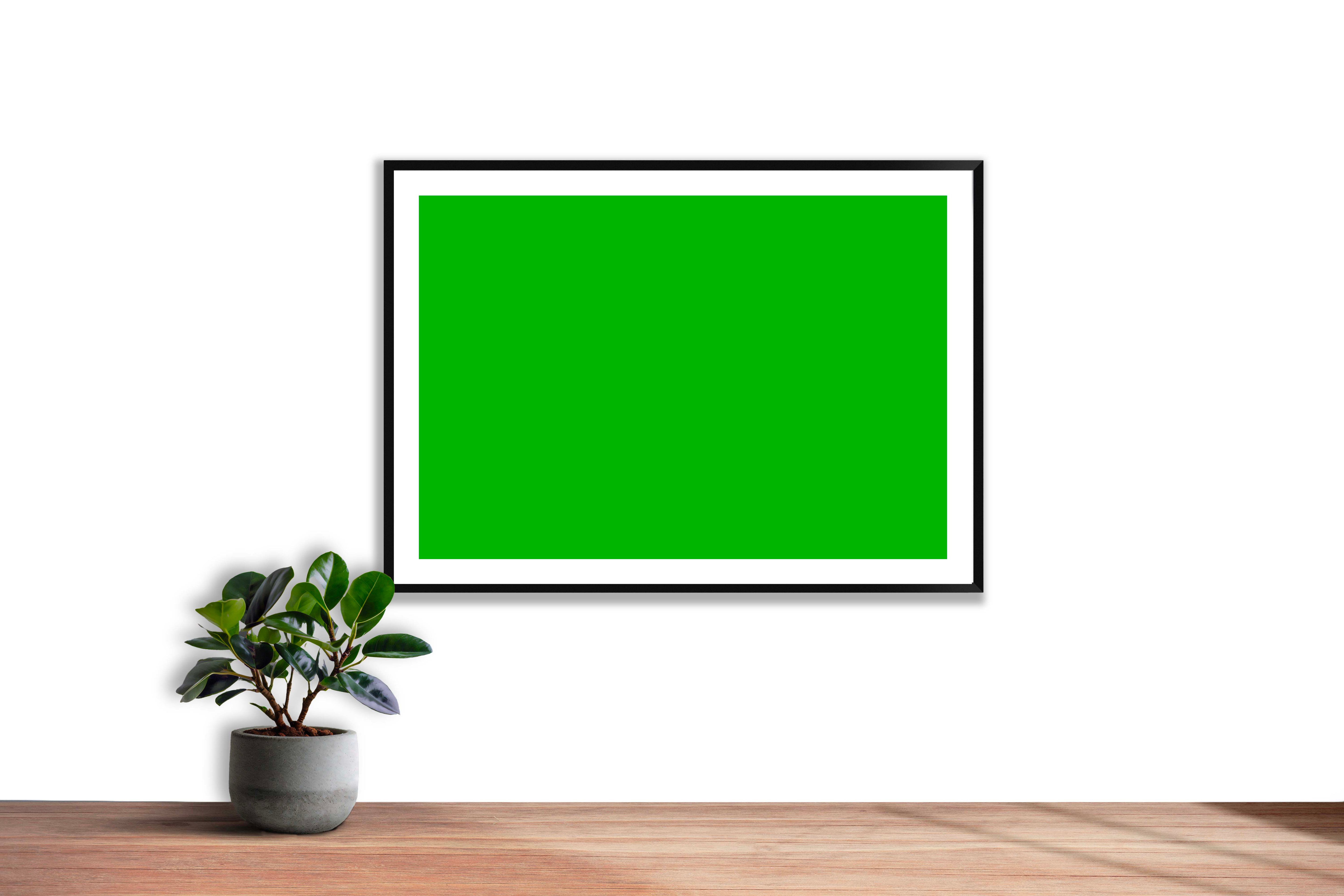 Vert cadmium clair Pop