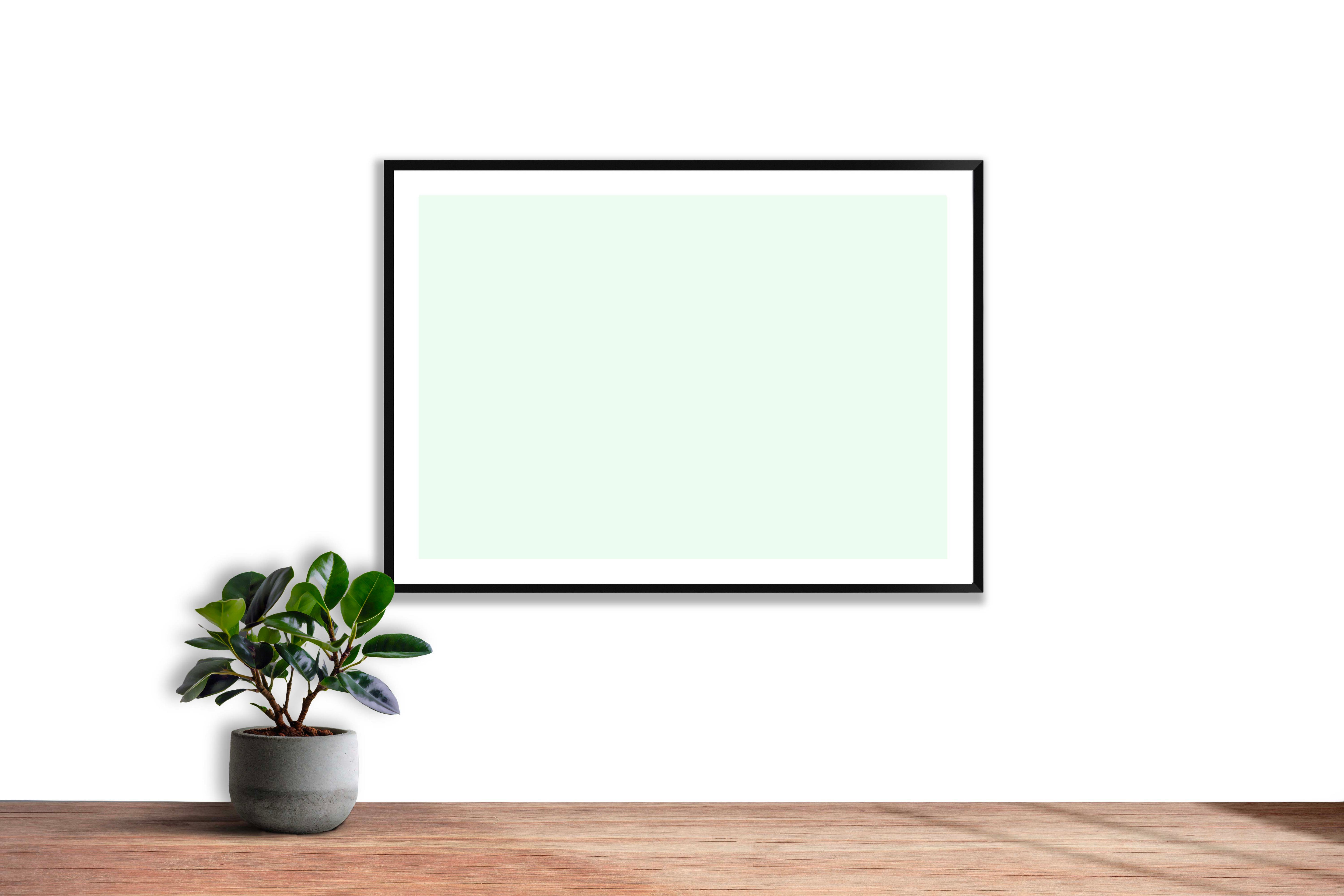 Blanc vert calme