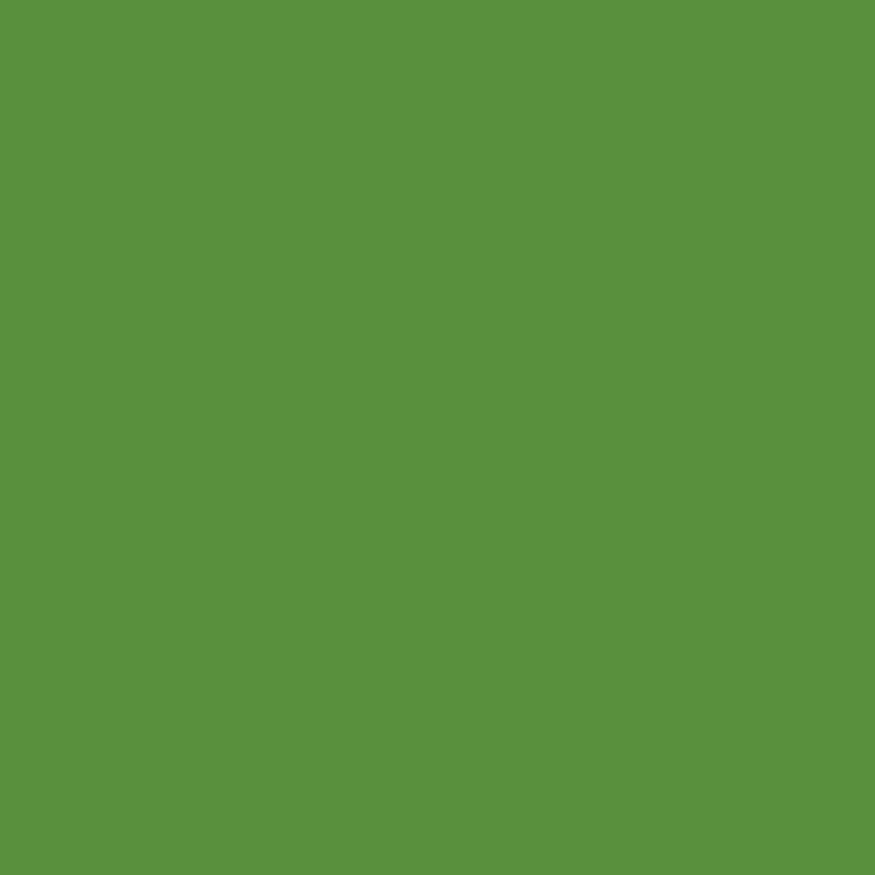 Vert Oxyde Chromique Olive