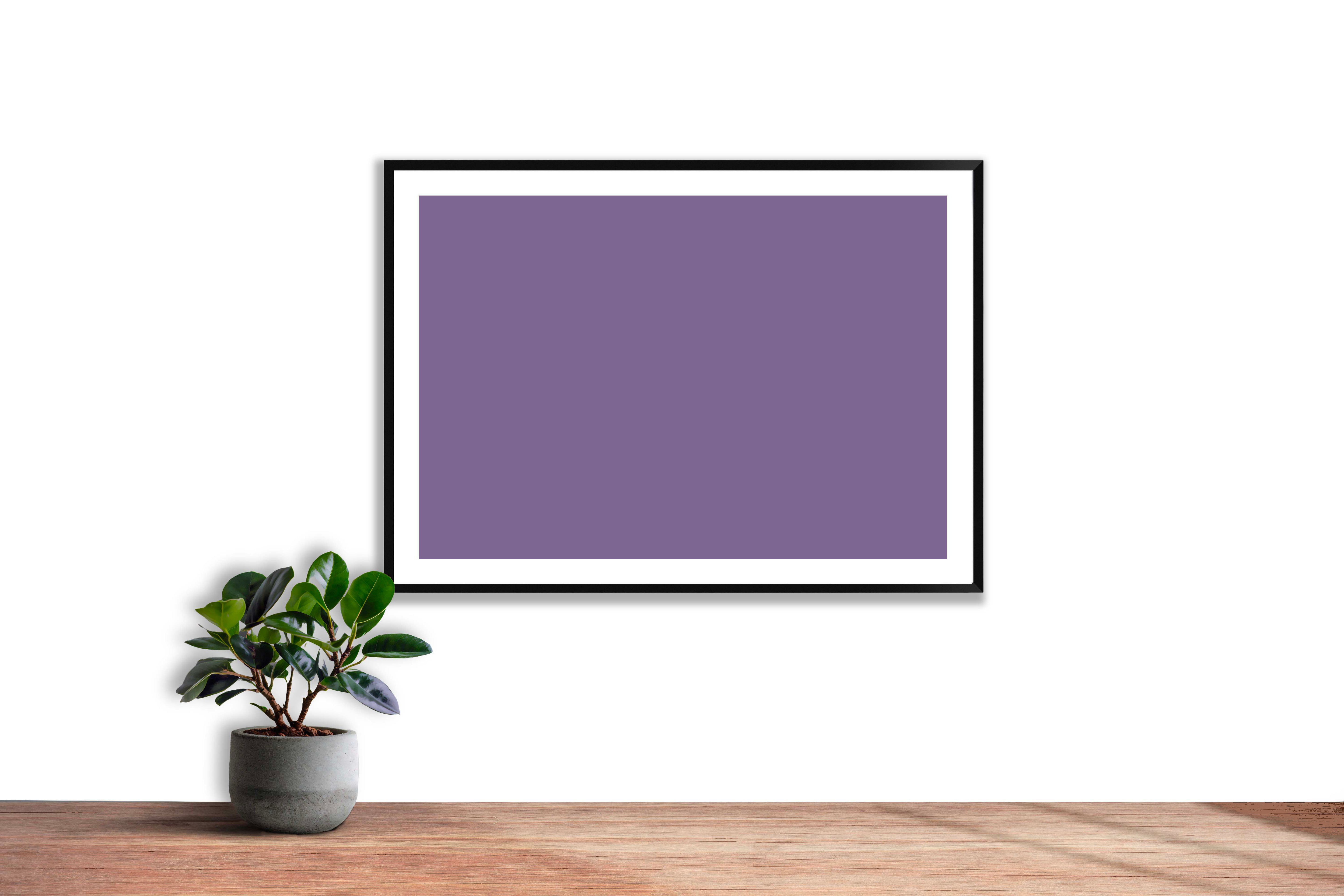 Lilas Bleu