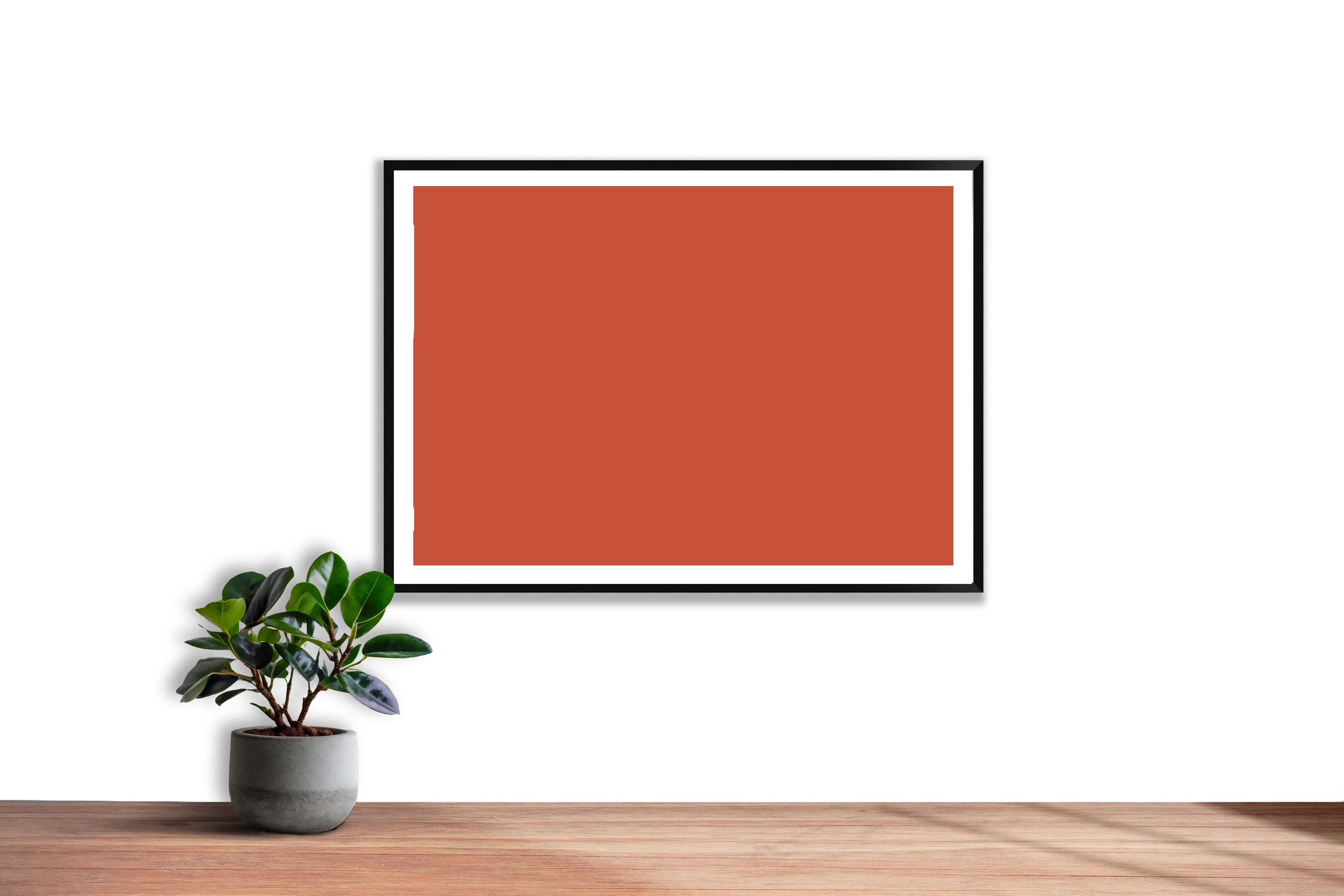Orange sanguine