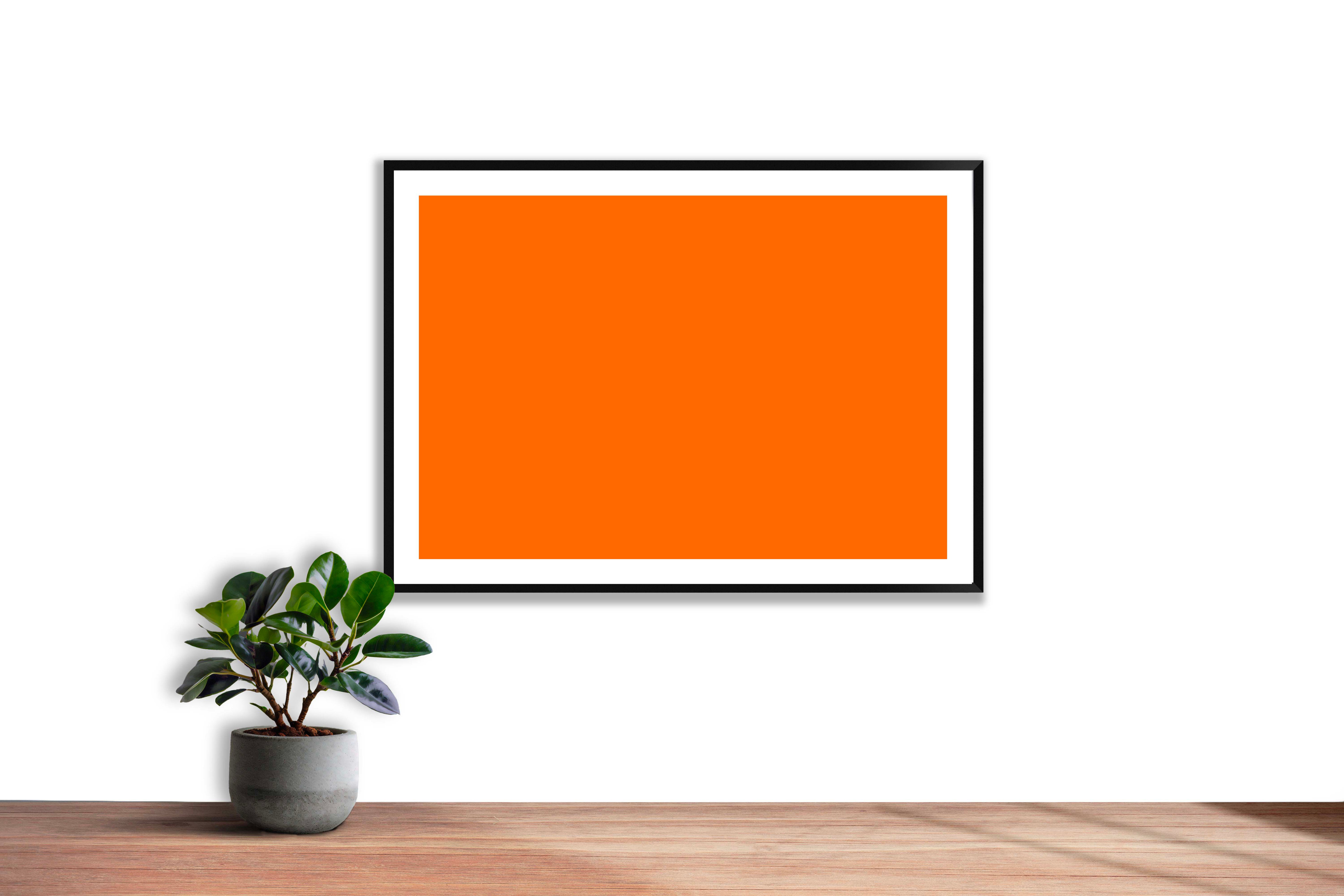 Orange pastel