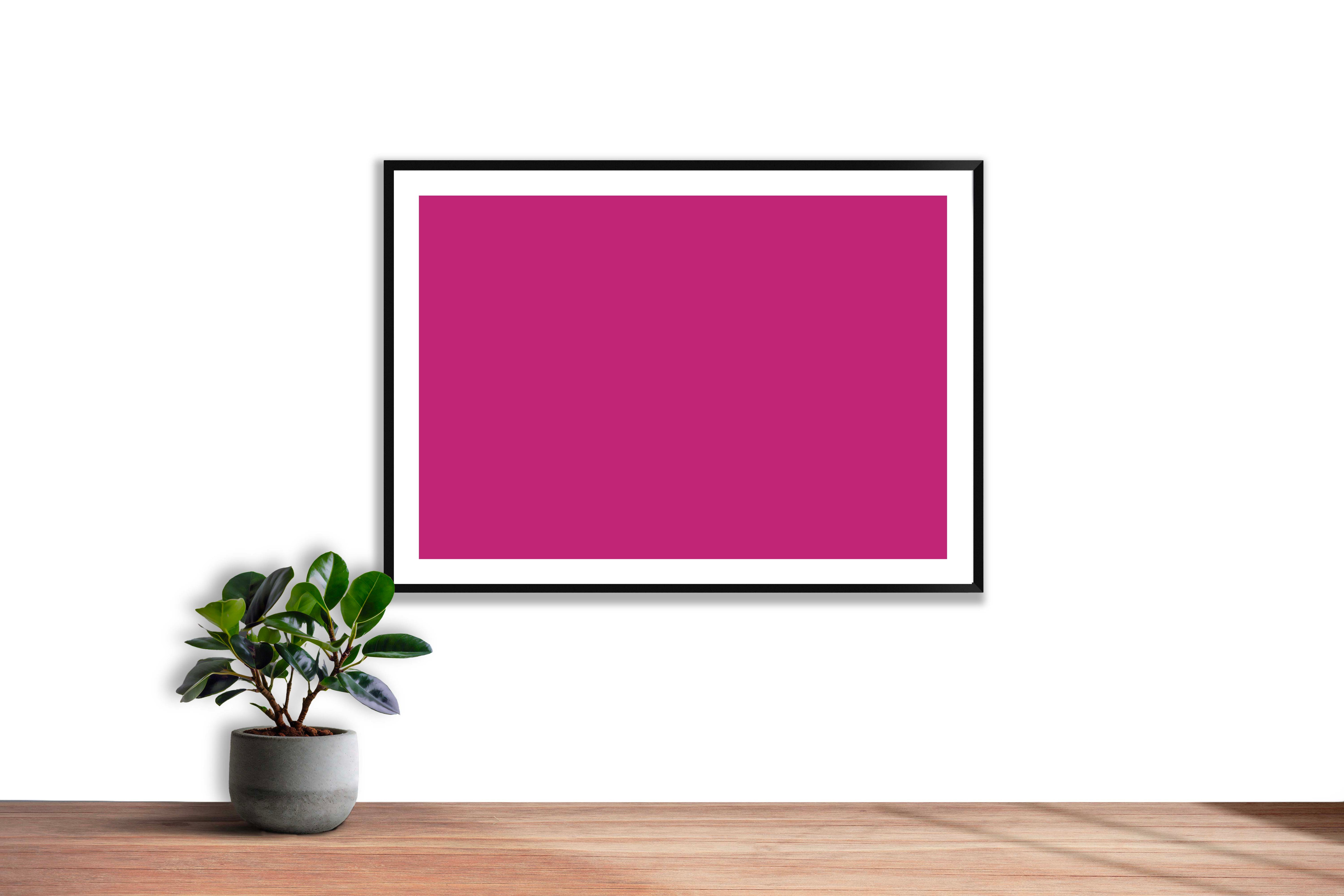 Magenta Quinacridone