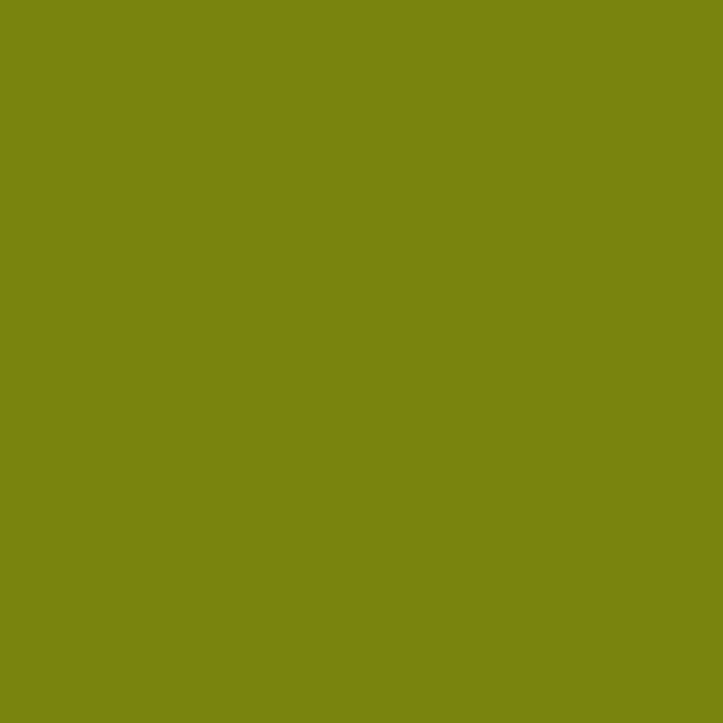 Vert Eucalyptus