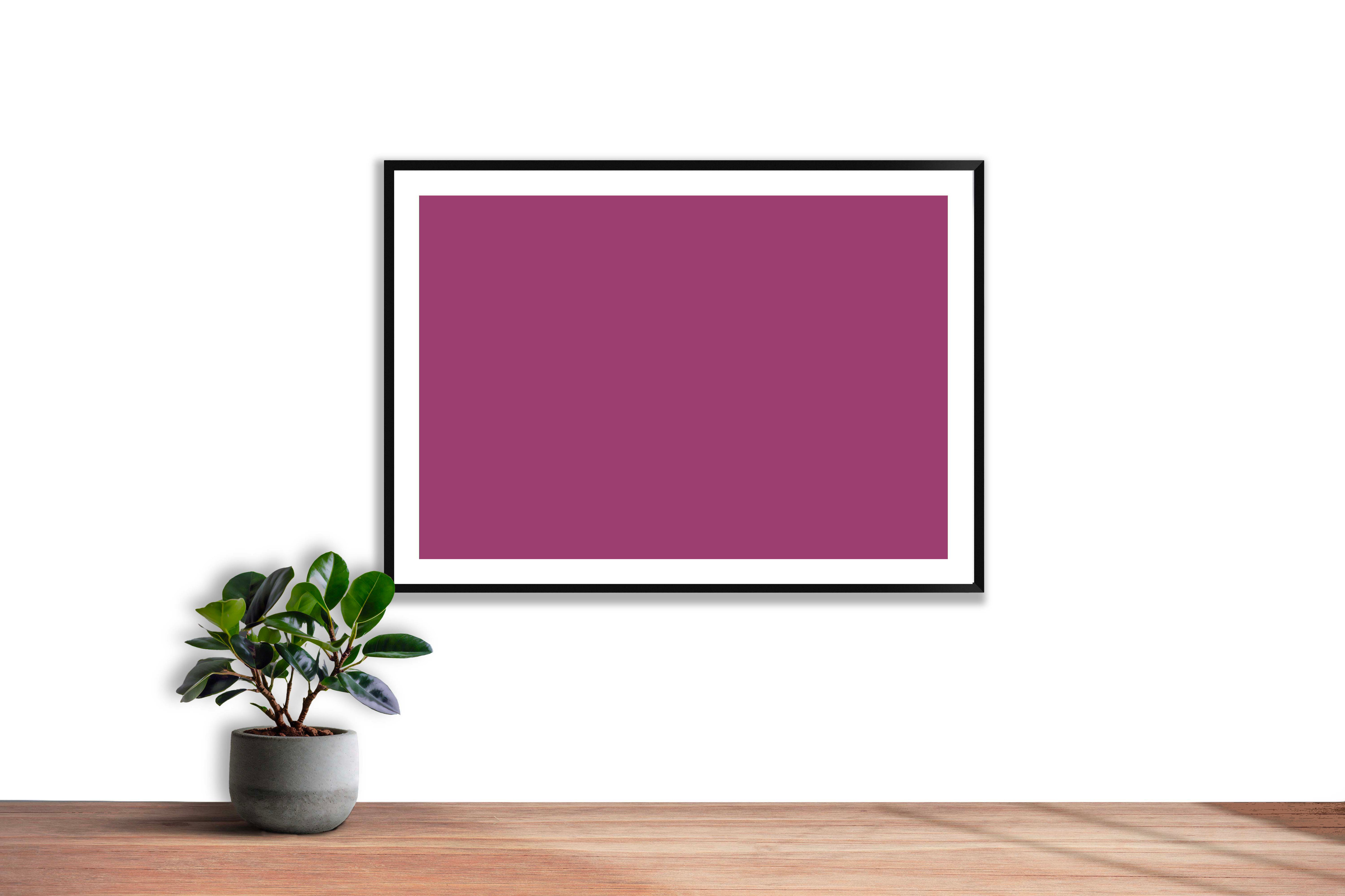 Violet de securite