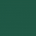 Vert turquoise 500ml