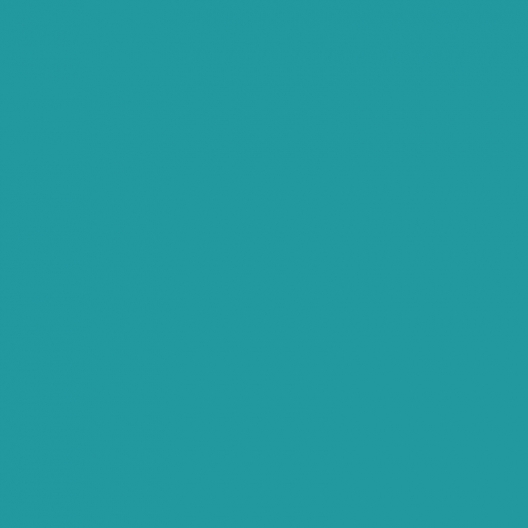 Turquoise Scotie 500ml