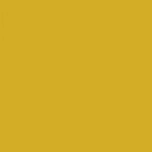 jaune curry couleur peinture
