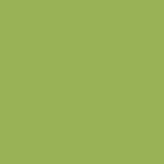 Vert pistache peinture ApyArt 500ml