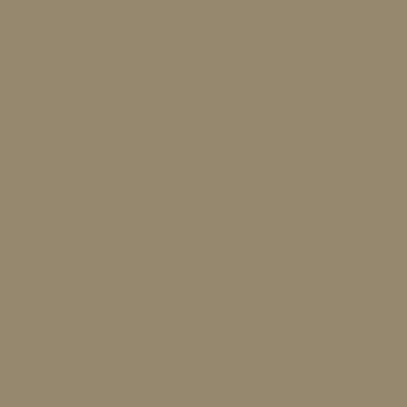 Beige gris