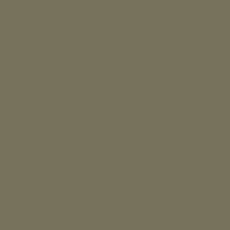 Gris olive