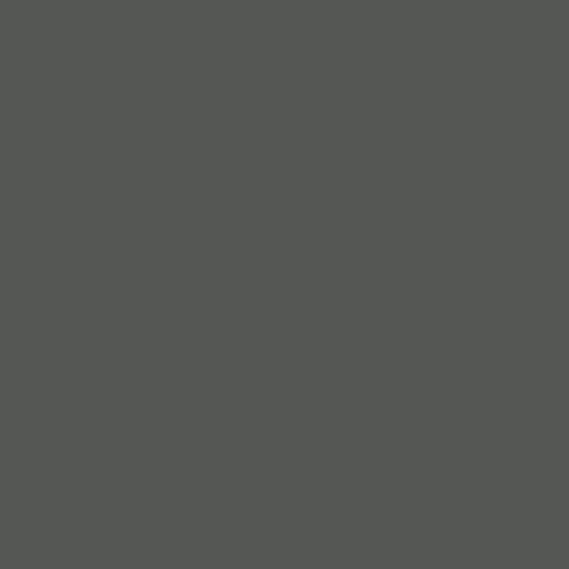 Gris terre d'ombre
