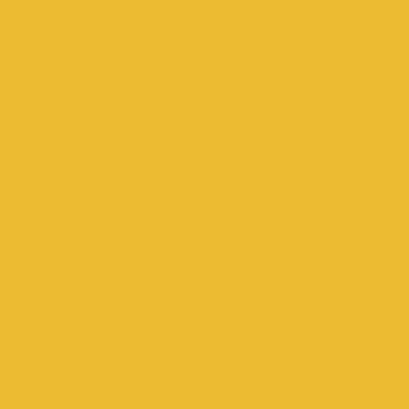 Jaune flipper
