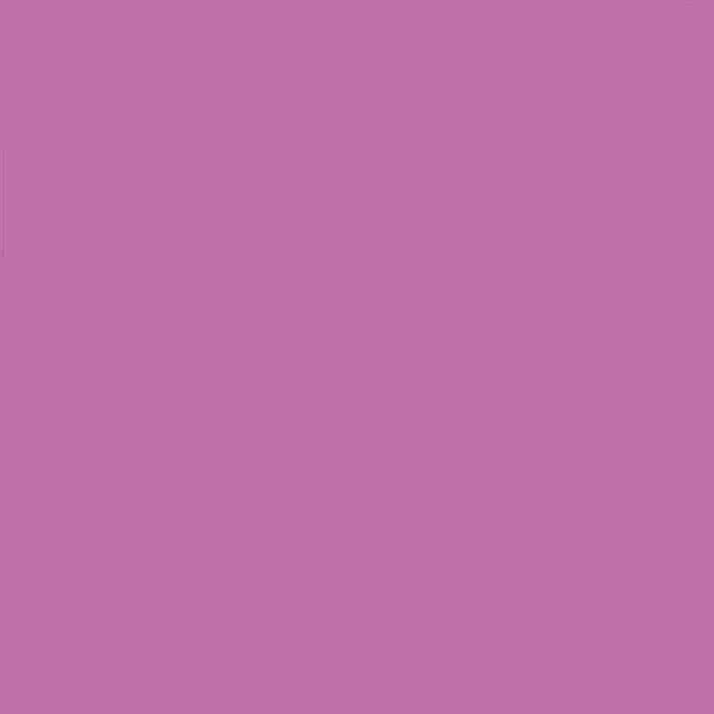 Rose indien