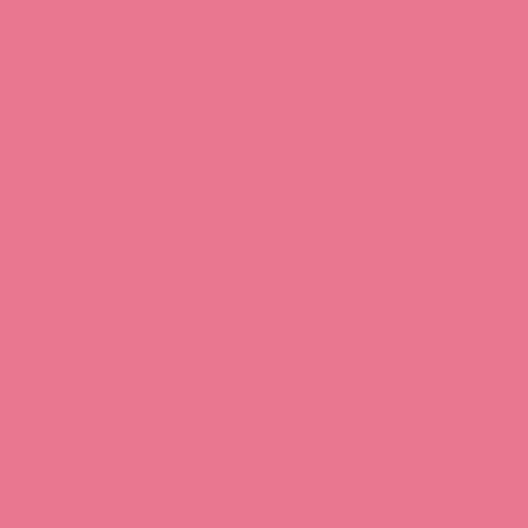 Rose rozy