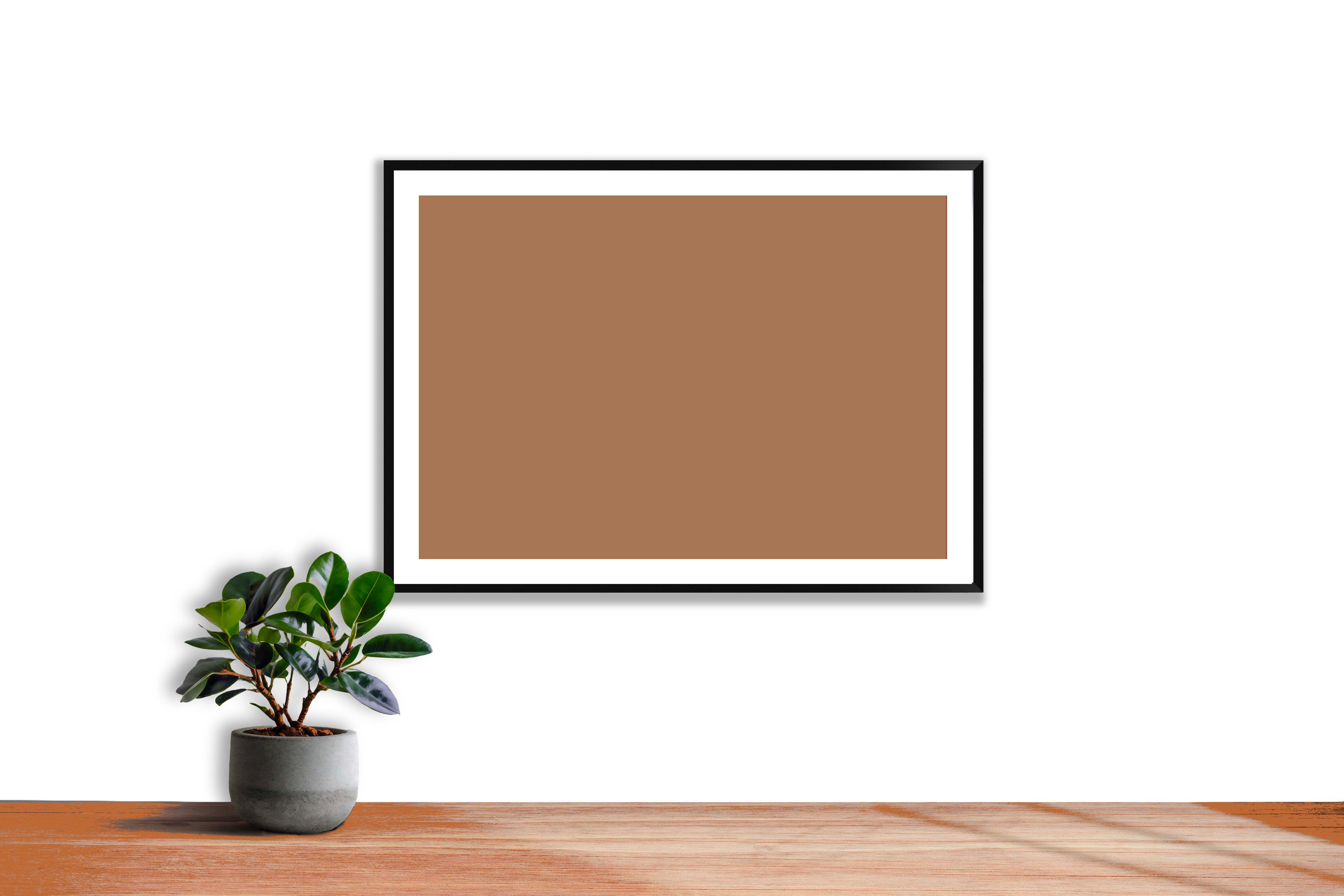 Terracotta