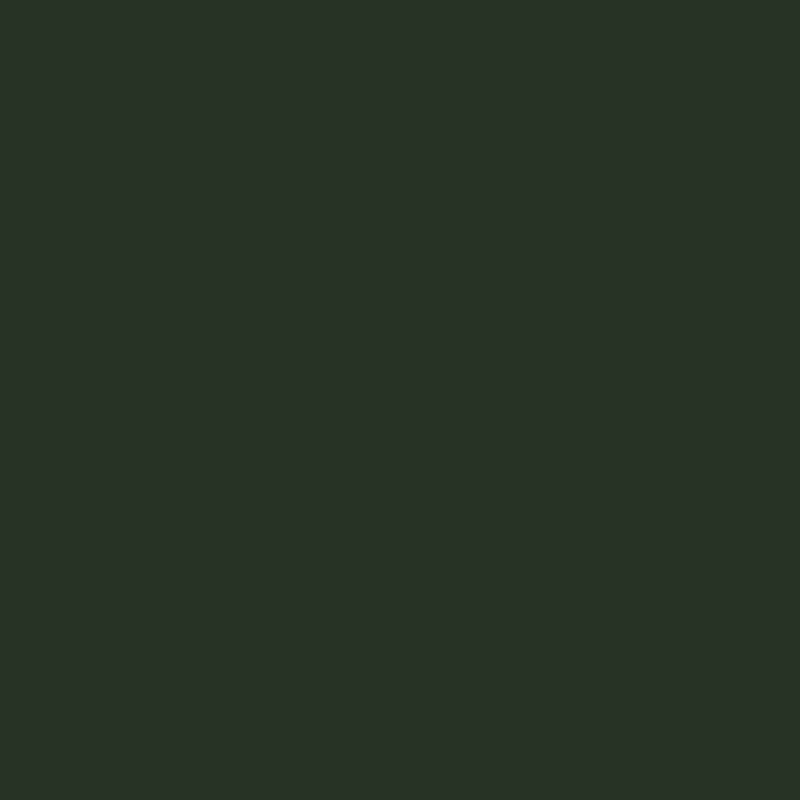 Vert oxyde chromique
