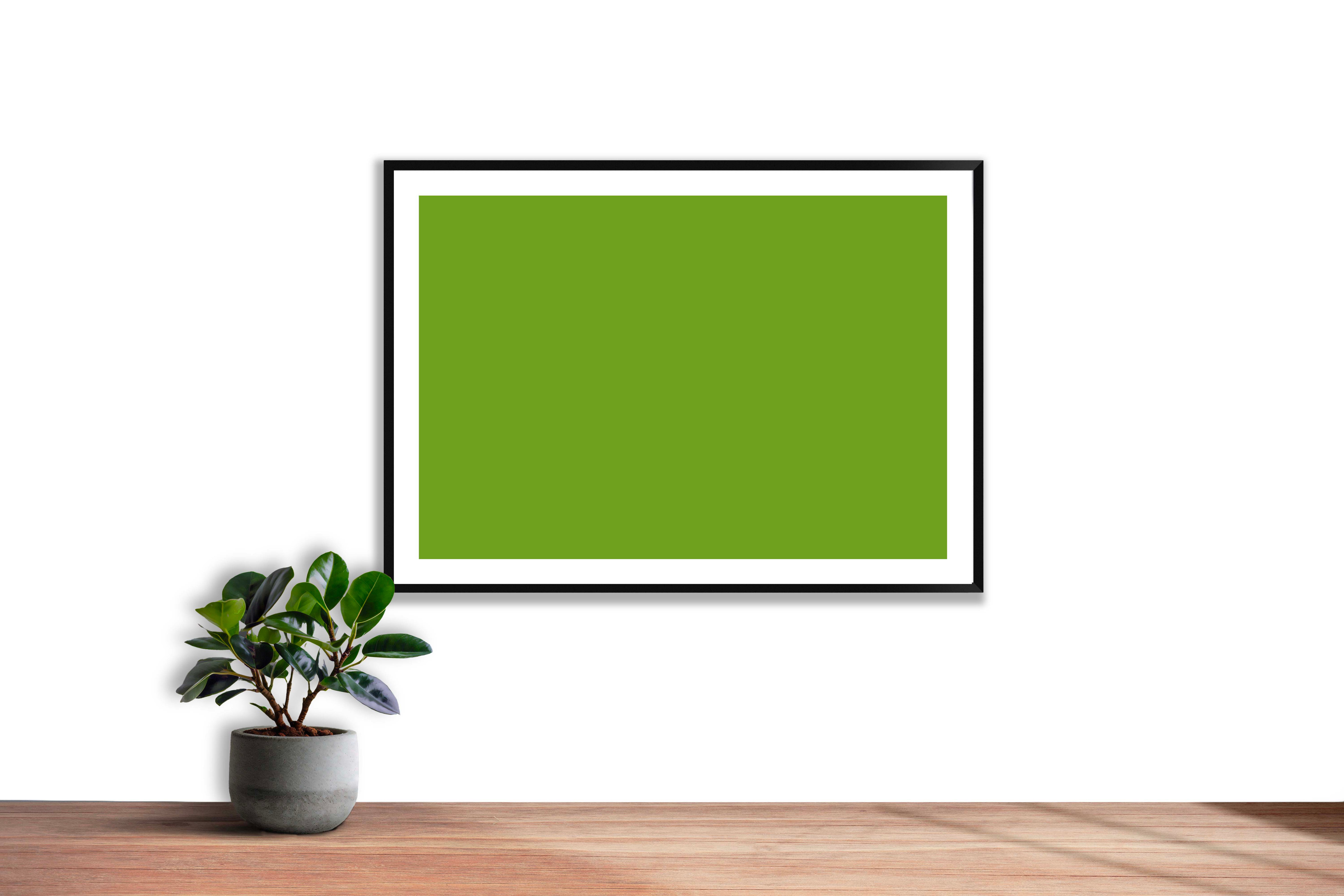 Vert acide